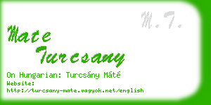 mate turcsany business card